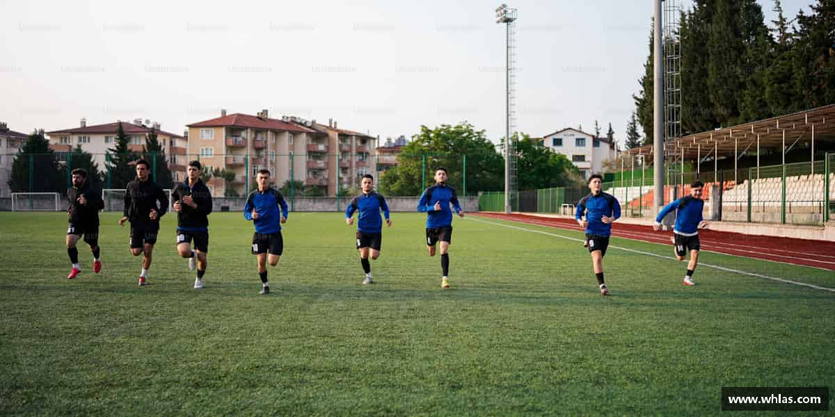 认识MK体育恩波利